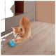 Ein verspieltes orangefarbenes Kätzchen greift nach einem kleinen blauen Ball auf einem hellen Holzboden, mit modernen Möbeln im Hintergrund.