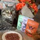 Eine getigerte Katze sitzt neben drei bunten Beuteln von "The Better Cat" Futter und einem Teller mit Nassfutter für Katzen.
