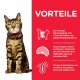 Eine Bengal-Katze mit einem roten Halsband sitzt vor einem weißen Hintergrund neben deutschem Text, der die Vorteile von Haustierfutter wie niedrige Kalorien und Omega-6 auflistet.
