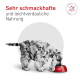 Spaniel frisst aus roter Schüssel; sichtbarer Text: Sehr schmackhafte und leichtverdauliche Nahrung und VETERINARY NUTRITION.