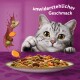 Eine graue getigerte Katze schaut auf eine Schüssel mit buntem Haustierfutter mit Fleisch, Erbsen und Karotten, und dem Text "unwiderstehlicher Geschmack" darüber.