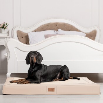 Ein schwarz-brauner Dobermann ruht auf einem beigen Hundebett in einem stilvollen Raum mit einem weißen gepolsterten Bett und einer kleinen Vase mit Blumen.