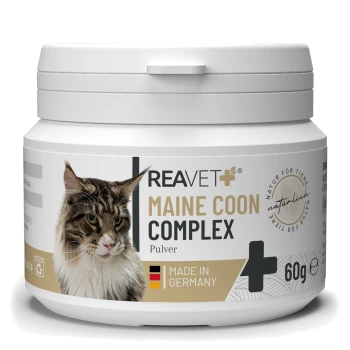 Behälter mit REAVET Maine Coon Complex Pulver für Katzen, mit einem Bild einer Maine Coon Katze, 60g, hergestellt in Deutschland.