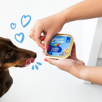 Une personne tient un contenant de nourriture pour chien Edgard Cooper étiqueté 'Yummy Salmon & Turkey' tandis qu'un chien brun lèche avidement ses lèvres.