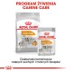 Opakowanie karmy dla psów Royal Canin Coat Care z torbą "MINI Healthy & Shiny Coat" i saszetką "ALL SIZES", z polskim tekstem na przepisach.