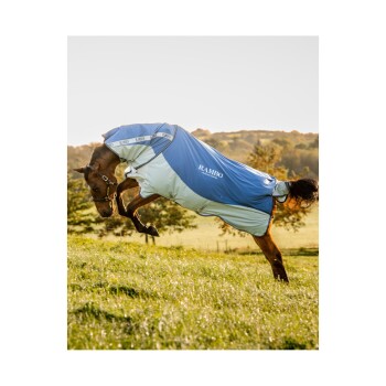 Ein Pferd, das eine blau-weiße Rambo-Decke trägt, springt verspielt auf einer grasbewachsenen Wiese, mit Bäumen und Hügeln im Hintergrund.