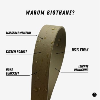 Eine Nahaufnahme einer wasserdichten olivgrünen Hundeleine mit Wassertropfen auf ihrer Oberfläche, die ihre Haltbarkeit und ihr Design zeigt.