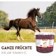Braunes Pferd läuft auf einer grasbewachsenen Wiese mit einem Behälter Supravit Hagebutten, beschriftet mit "GANZE FRÜCHTE mit viel Vitamin-C"