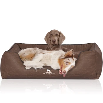 Ein komfortables braunes Hundebett mit einem verspielten Australian Shepherd, mit dem Markennamen "KNUFFELWUFF" deutlich sichtbar.