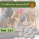 Hahn und Henne auf einer Holzstange mit sechs Eiern im Vordergrund; grüne Banner mit der Aufschrift ‚Praktisches Sparpaket!‘ und ‚6er Set‘.