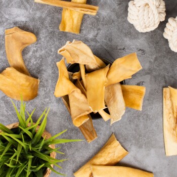 Eine Schüssel gefüllt mit verschiedenen Hundekauartikeln, einschließlich gerollter und flacher Stücke, umgeben von grünem Gras und Seilspielzeugen auf einer grauen Oberfläche.