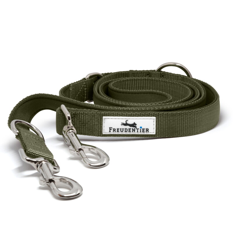 Freudentier Hundeleine 2m, Führleine gepolstert & verstellbar 2 m, 2 cm