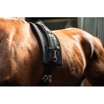 Nahaufnahme eines braunen Pferdes, das ein schwarzes Equinate-Geschirr trägt, mit Metallclips und Riemen für eine sichere Befestigung.