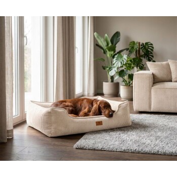 Hund mit rotem Fell schläft in einem beigen Cord-Hundebett mit Lederlabel „KNUFFELWUFF“ in einem gemütlichen Wohnzimmer.