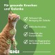 Eine verspielte Katze, die auf Gras läuft, mit hervorgehobenen Gelenken, begleitet von dem Text 'Gelenke & Knochen für Katzen' und der Marke 'GIGI.'