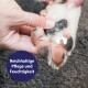 Eine Nahaufnahme einer Hand, die Creme auf die Pfote eines Hundes aufträgt, mit sichtbaren Ballen und Fell. Der Text lautet "Reichhaltige Pflege und Feuchtigkeit."
