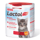 Beaphar Lactol Kittenmilchpulverbehälter mit einem süßen grauen Kätzchen und mehrsprachigem Text über Wachstum und Entwicklung.