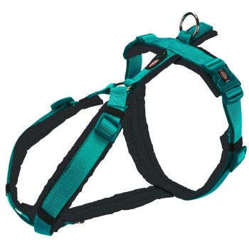 Premium Trekking Geschirr türkis M