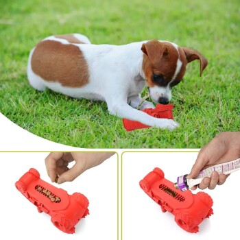 Ein kleiner braun-weißer Hund spielt mit einem roten Gummispielzeug in Form eines Autos auf grünem Gras. Das Spielzeug hat Öffnungen für Leckerlis.