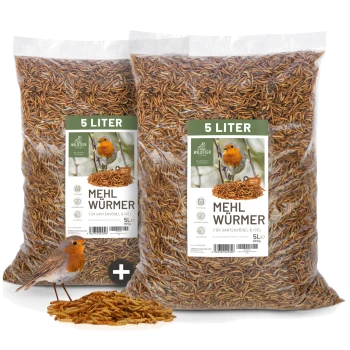 Zwei 5-Liter-Beutel getrockneter Mehlwürmer mit der Aufschrift „Mehl Würmer“ für Gartenvögel und Igel, mit einem Vogel und Mehlwürmern davor.