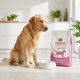 Golden retriever sits beside white bowl and pink-and-white 'Select Gold Medica Veterinary Diet' dog food bag in kitchen.