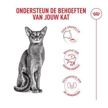 Portret van een kat met Nederlandse kop 'ONDERSTEUN DE BEHOEFTEN VAN JOUW KAT' en pictogrammen voor smaak, gewicht en urinewegen.