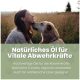 Flasche ALPHA-IMMUN Haustieröl von ALPHAZOO, das Vitalität und Immununterstützung fördert, mit Text, der die lokale Produktion und Omega-Fettsäuren hervorhebt.