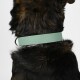 Zugstopp Halsband Sage XXL