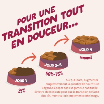 Infographie : transition alimentaire pour chien — 'Jour 1' 25 %, 'Jour 2-3' 50–75 %, 'Jour 4' 'mmmm !' ; titre 'Pour une transition...'.