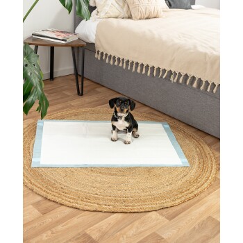 Ein kleiner schwarz-brauner Hund sitzt auf einem weißen Welpentrainingspad, das auf einem runden gewebten Teppich liegt, mit einem Bett und einer Pflanze im Hintergrund.