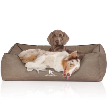 Orthopädisches Hundebett Rockland aus Kunstleder stone clay XXXL Ein gemütliches Hundebett in neutralem Braun mit einem Hund, der bequem liegt, mit dem markanten Logo "KNUFFELWUFF".