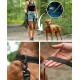 Eine Frau in einem schwarzen Tanktop und Jeansshorts führt einen braunen Hund an der Leine in einem Wald. Nahaufnahmen zeigen die Leine und ihre Hand.