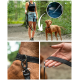 Eine Frau in einem schwarzen Tanktop und Jeansshorts führt einen braunen Hund an der Leine in einem Wald. Nahaufnahmen zeigen die Leine und ihre Hand.