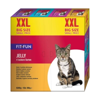 Verpackte Katzenfutterbox mit einer getigerten Katze, beschriftet mit "XXL BIG SIZE SMALL PRICE" und "FIT+FUN JELLY 4 leckere Sorten."