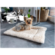 Ein kleiner Yorkshire Terrier liegt bequem auf einem plüschigen, cremefarbenen Haustierbett in einem modernen Wohnraum, umgeben von Pflanzen und Dekoration.