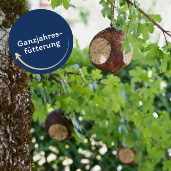 Vogelfutterspender, die von einem Baum hängen, umgeben von grünen Blättern, mit einem runden Etikett mit der Aufschrift "Ganzjahresfütterung."