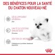 Babycat Milk poudre de lait 300 g 300 g