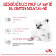 Un chaton blanc avec de grands yeux et du texte : "Développement cérébral (DHA)", "Santé immunitaire (Vitamines)", "Soutien au microbiome (Prébiotiques)."