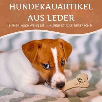 Ein verspielter Welpe mit braun-weißer Fellfarbe, der auf einem knochenförmigen Kauspielzeug kaut, mit dem Text 'WILDFANG'. Der Hintergrund ist sanft verschwommen.