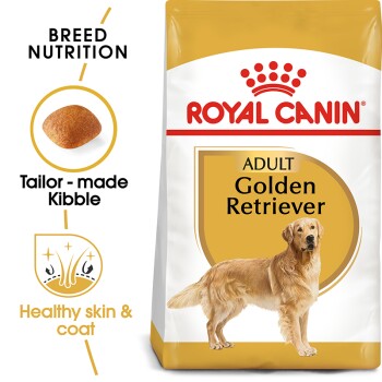 Golden Retriever Adult 12 kg