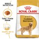 Royal Canin Adult Golden Retriever dog food bag, featuring tailored kibble for breed nutrition, promoting healthy skin and coat.