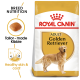 Royal Canin Adult Golden Retriever dog food bag, featuring tailored kibble for breed nutrition, promoting healthy skin and coat.