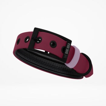 Biothane Halsband Bordeaux pfirsich XL