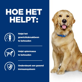 Golden retriever met blauwe halsband naast een blauw paneel met de tekst 'HOE HET HELPT' en Nederlandse tekst over gewrichten, spieren en immuunsysteem.
