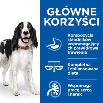 Szczęśliwy czarno-biały pies z czerwoną obrożą stoi obok niebieskiej tablicy z korzyściami dla trawienia i zrównoważonej diety.