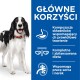 Szczęśliwy czarno-biały pies z czerwoną obrożą stoi obok niebieskiej tablicy z korzyściami dla trawienia i zrównoważonej diety.