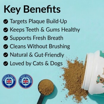 Spilled pet dental powder and scoop with 'Key Benefits' list: Targets plaque, keeps teeth & gums healthy, fresh breath.