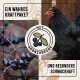 Das Bild zeigt ein schwarzes Huhn neben dunklen Beeren, mit dem Text "Ein wahres Kraftpaket mit Aroniabeere und besonders schmackhaft."