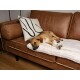 Ein schlafender Hund mit golden-braunem Fell ruht auf einer plüschigen Decke auf einem braunen Sofa, neben einem dekorativen Kissen mit abstrakten schwarzen Linien.