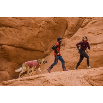 Ein Deutscher Schäferhund in einem rosa Pullover geht neben zwei Wanderern auf einem felsigen, rötlichen Terrain.